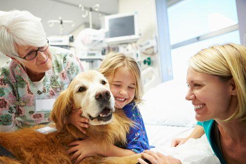 register dog as therapy animal