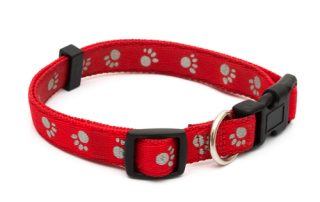 Why Does ATD Restrict the Types of Dog Collars Used?