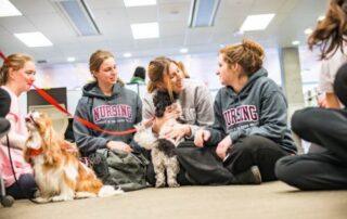 Why Dog Therapy Should be on Your Summer Bucket List