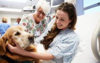therapy-dog-hospital
