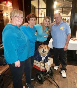 Therapy Dogs at Magis Puppy Fundraiser