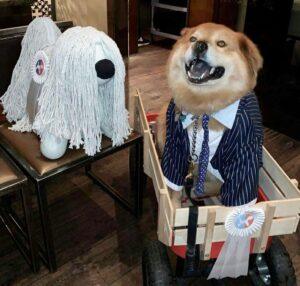 Magis Puppy Fundraiser, Herman Miller