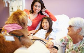 therapy dog certifications