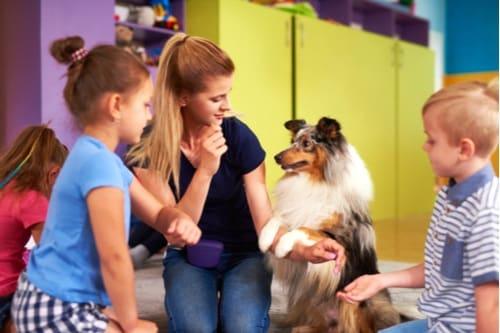 Therapy dogs shop for kids