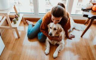 therapy dog