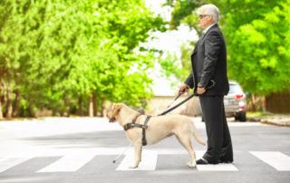 Dogs Help Seniors