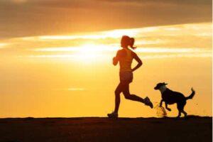 Running with your dog