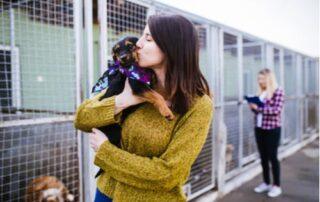 Dog and Puppy Adoption