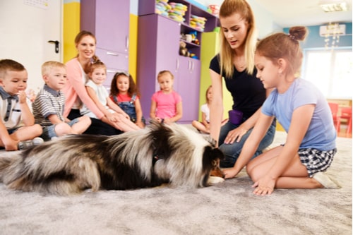 How do Therapy Dogs Help in the Classroom? - Alliance of Therapy Dogs Inc.
