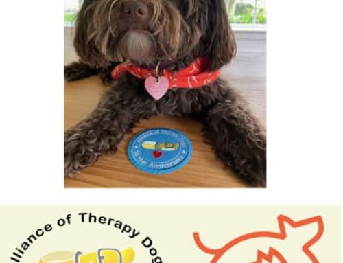 Canidae Pet Food is the Official Pet Food Sponsor of The Alliance of Therapy Dogs