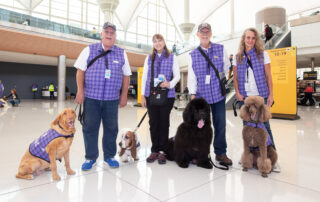 Denver Airport Therapy Dog Team