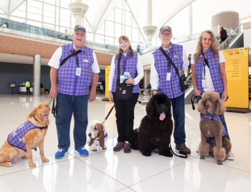 Therapy Dogs at the Airport