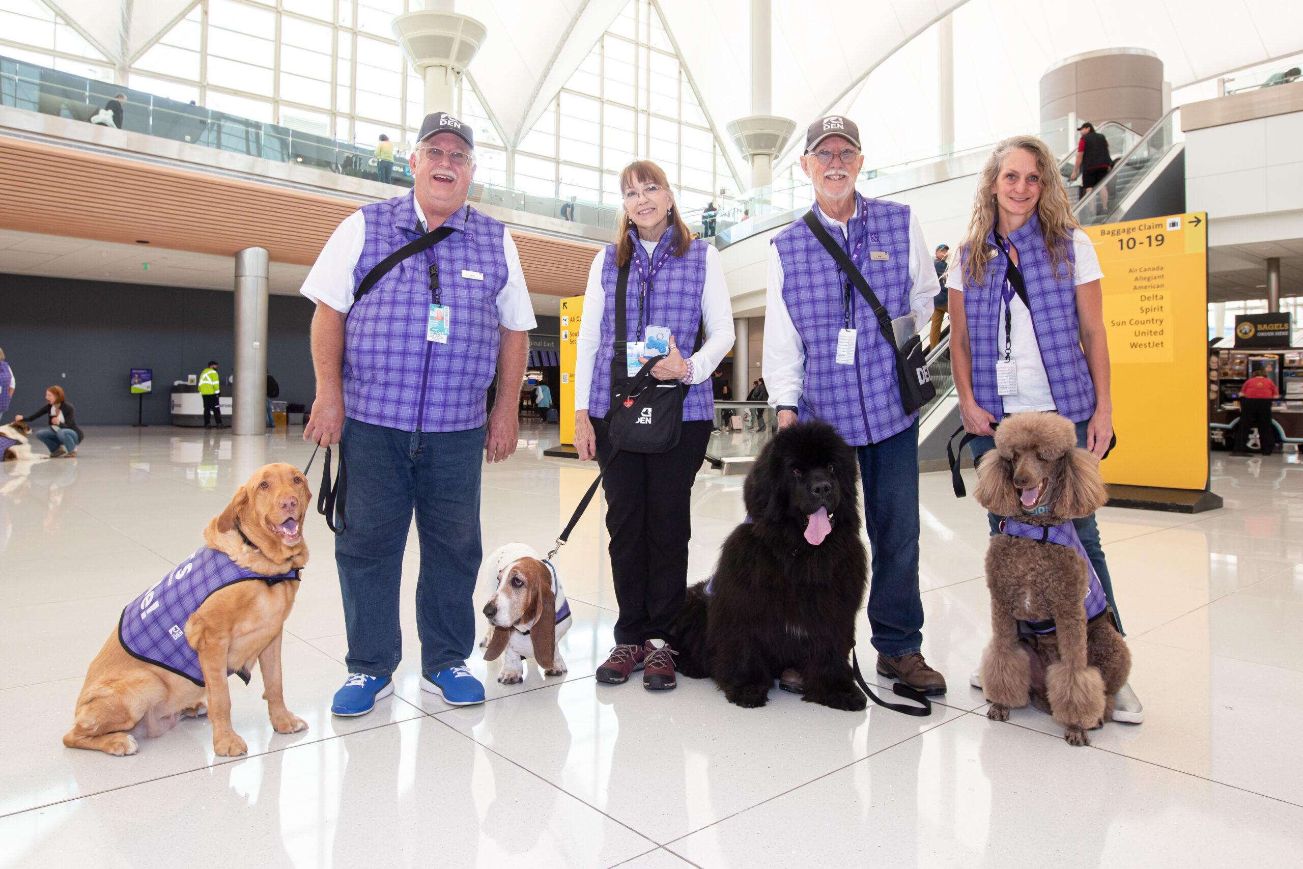 Airport deals therapy dog