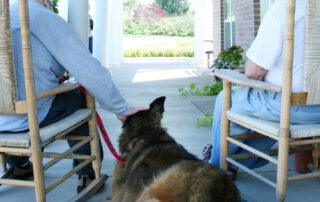 Dog sits between two seniors on rocking chairs.