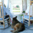 Dog sits between two seniors on rocking chairs.