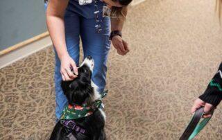 therapy dog providing companionship for seniors