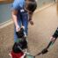 therapy dog providing companionship for seniors
