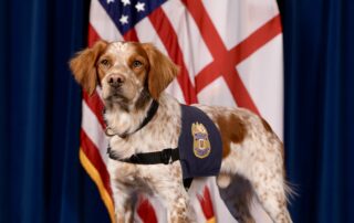 First Responder Therapy Dog