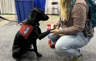 girl kneels with therapy dog