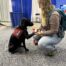 girl kneels with therapy dog