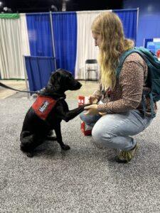 girl kneels with therapy dog