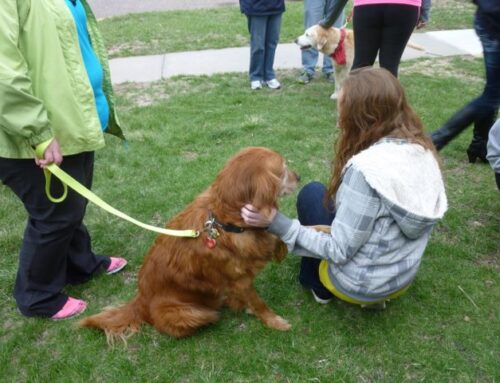 Pet Therapy For Teens’ Mental Health I ATD