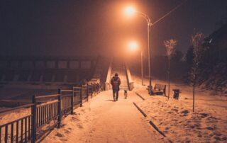 person walking dog at night