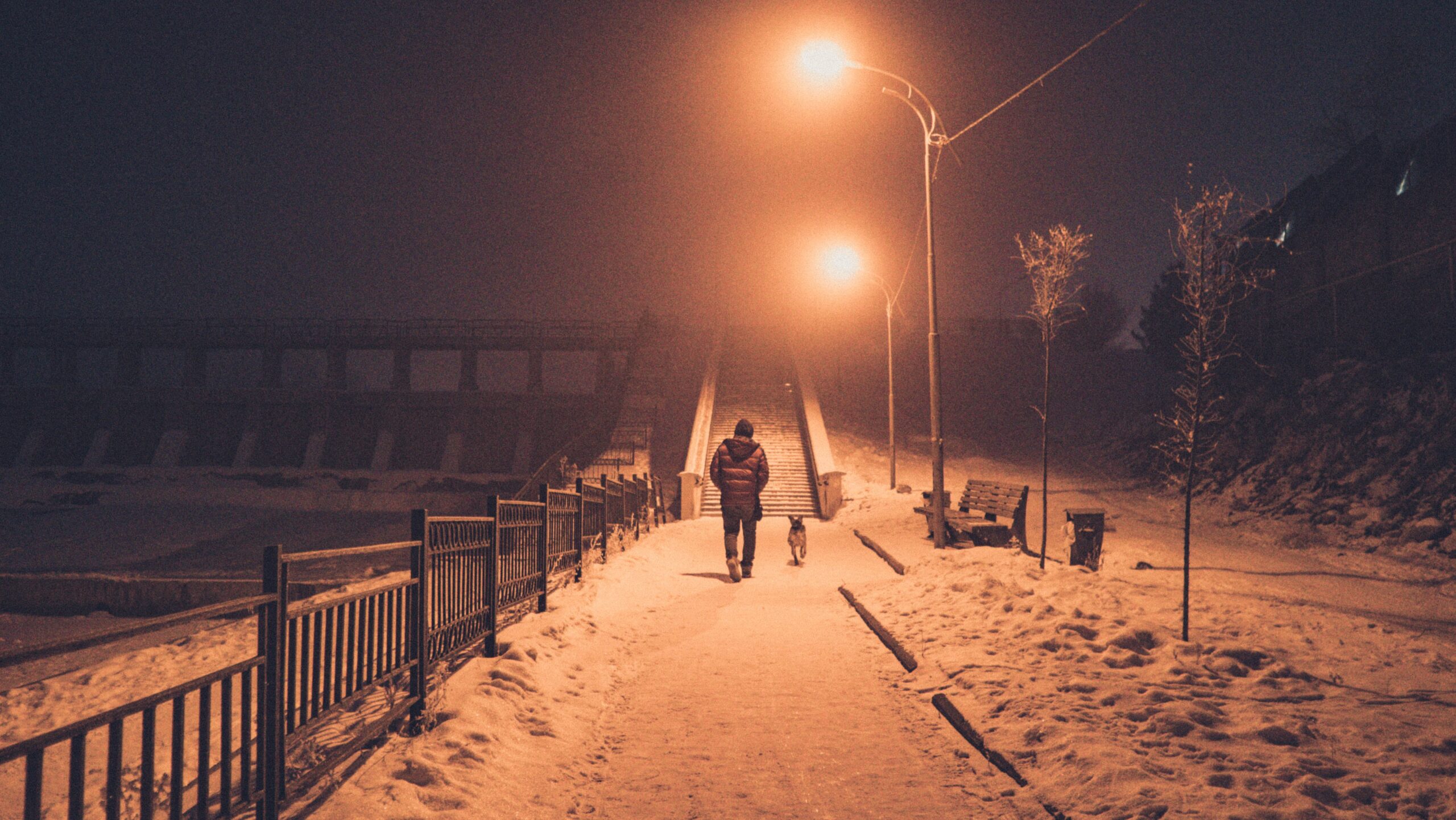 person walking dog at night