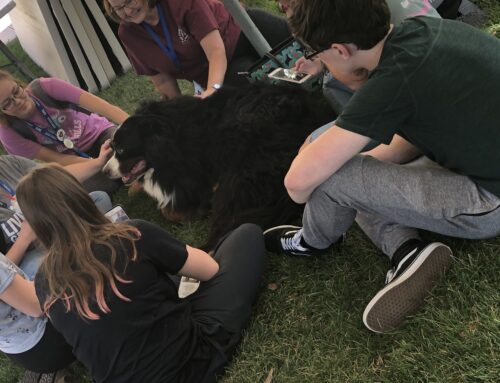 Overcome Exam Stress with Therapy Dogs