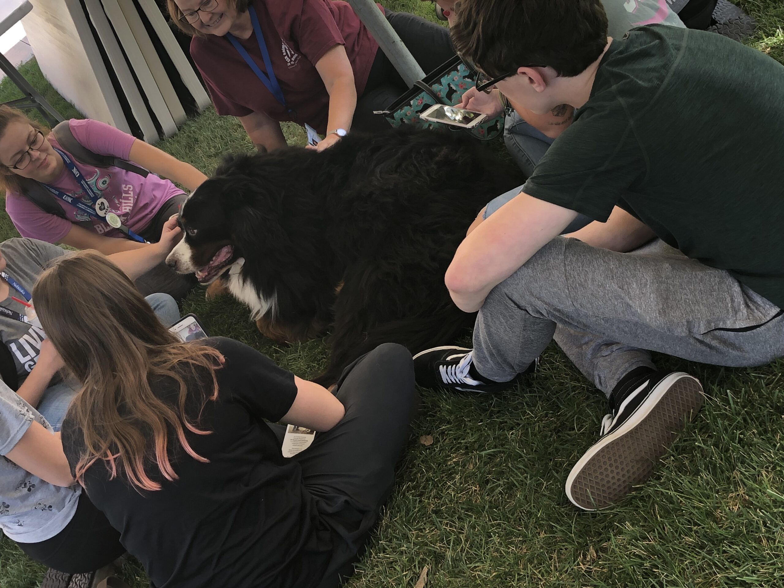 Group of students deal with exam stress by petting a bernese mountain dog.