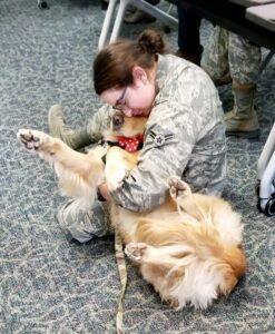 A military personnel hugs therapy dog, Rio.