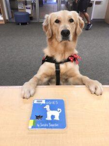 Reading with Rio, a Golden Retriever therapy dog.