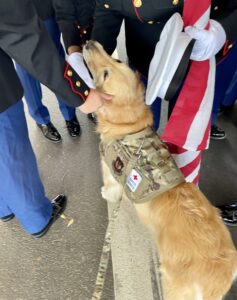 Therapy dog Rio being petted by military personnel.