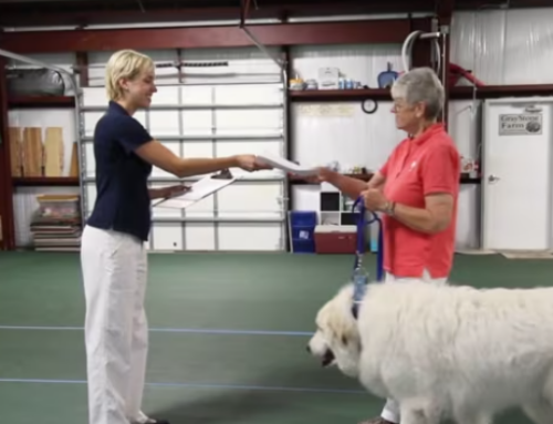 Therapy Dog Visits I What To Do If You Need To Retest