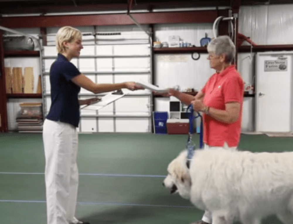5 Reasons for Therapy Dog Certification with ATD 5 Reasons for Therapy Dog Certification with ATD