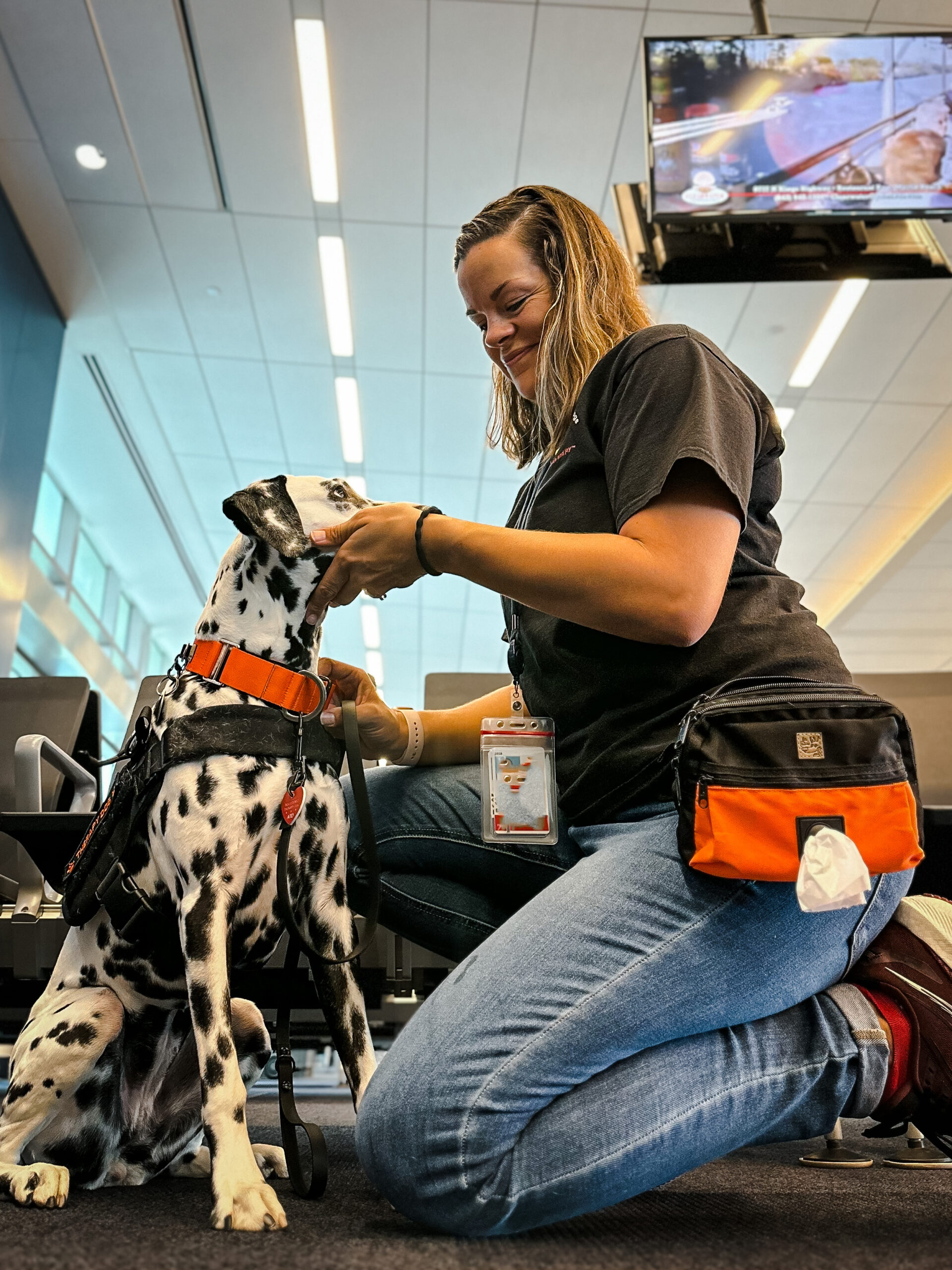 ATD board member initiates therapy dog skills training with their Dalmation.