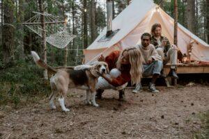 A group of friends camping with a dog - beagle shown with smiling group in front of a campsite.
