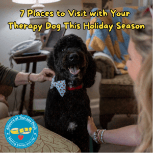 Therapy dog looks happy to be getting attention.