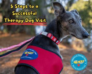 ATD dog on leash with vest and atd logo