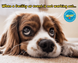 Dog resting on floor