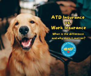 Golden Retriever smiling next to title ATD Insurance vs. work insurance