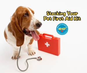 A basset hound sits next to a pet first aid kit.