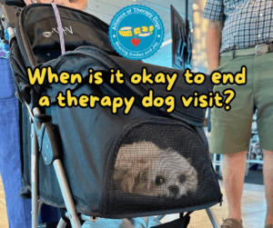 Small white dog laying with head down in stroller with someone standing nearby