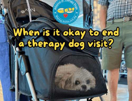 When is it okay to end a therapy dog visit?