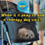 Small white dog laying with head down in stroller with someone standing nearby