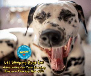 A close up of a Dalmatian yawning.