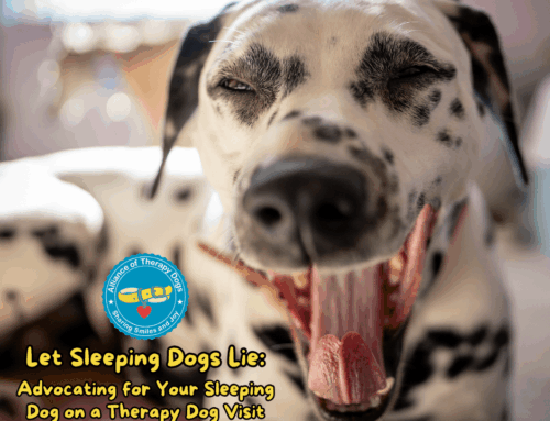 Let Sleeping Dogs Lie: Advocating for Your Sleeping Dog on a Therapy Dog Visit