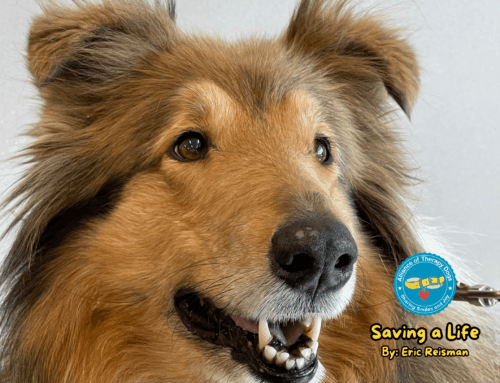 The Importance of a Therapy Dog: Saving a Life