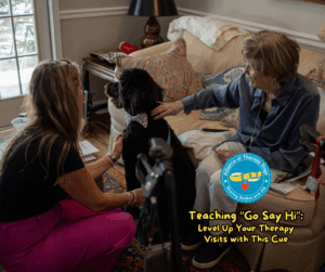 A therapy dog handler kneels by her dog after telling the dog to go say hi to someone sitting on a couch.