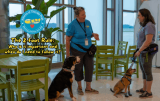 Two therapy dog handlers hold a conversation while keeping their dogs 2-feet apart.